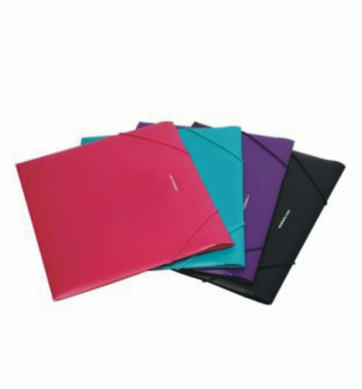 China Manufacture custom printed a4 size plastic file folder sheets